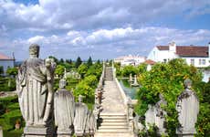 Tour dei musei di Castelo Branco