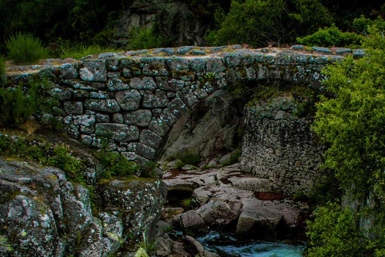 Admirando un puente con historia 