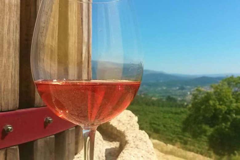 Disfrutando del vino portugués