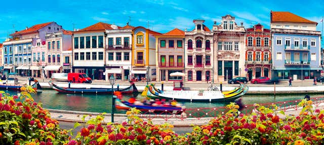 Excursión a Aveiro y Costa Nova