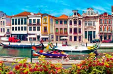 Aveiro & Costa Nova Tour