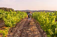 Escursione nella regione della Bairrada