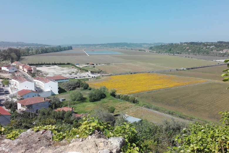 Campos de Baixo Mondego