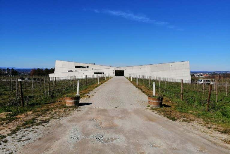 Modern winery
