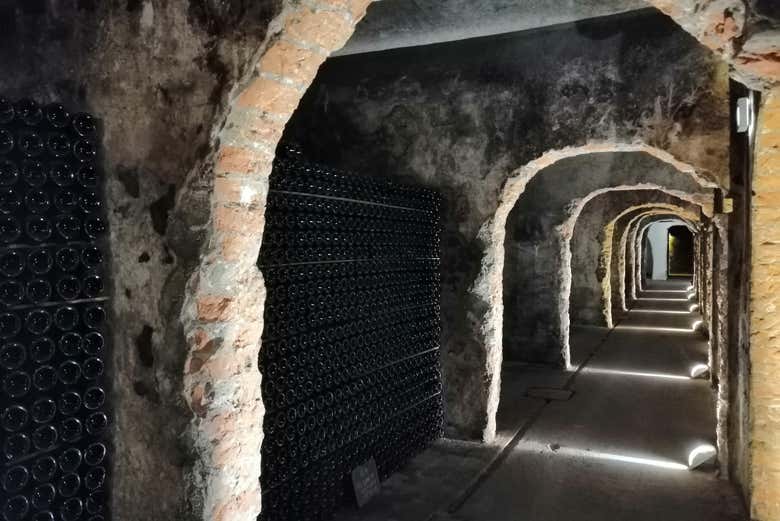 Caves à vin