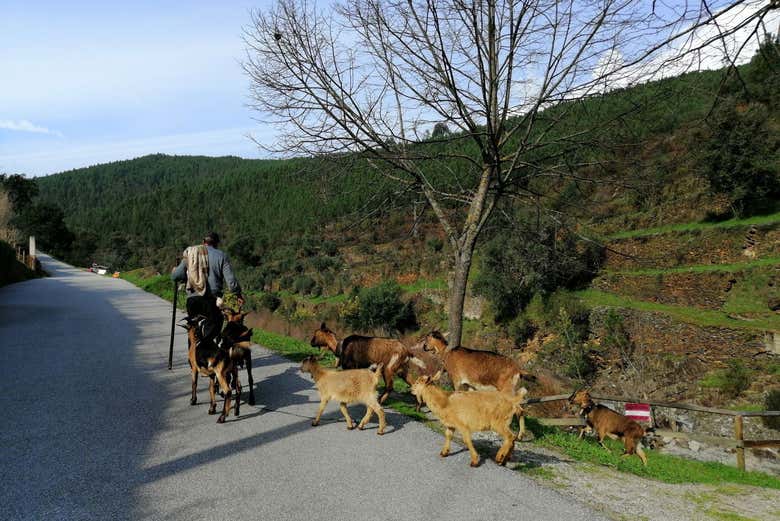 See what daily life is like