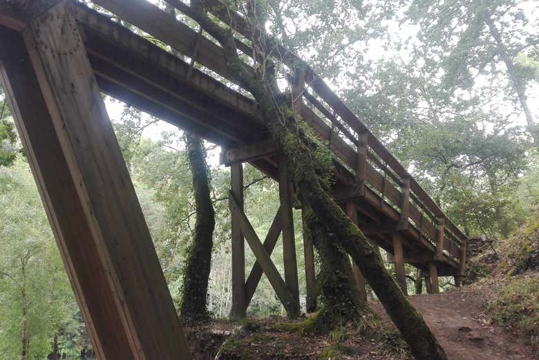 Wooden pathway