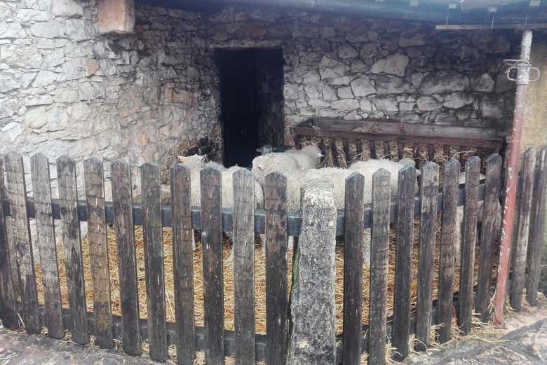 Hameau d'Aljustrel