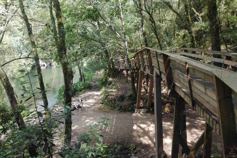 Wooden walkway
