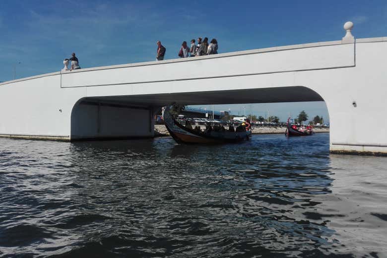 Pasando por debajo de un puente en Aveiro