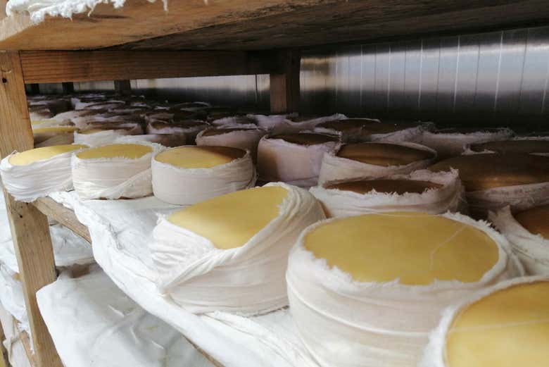 Sample fresh cheese from the region!