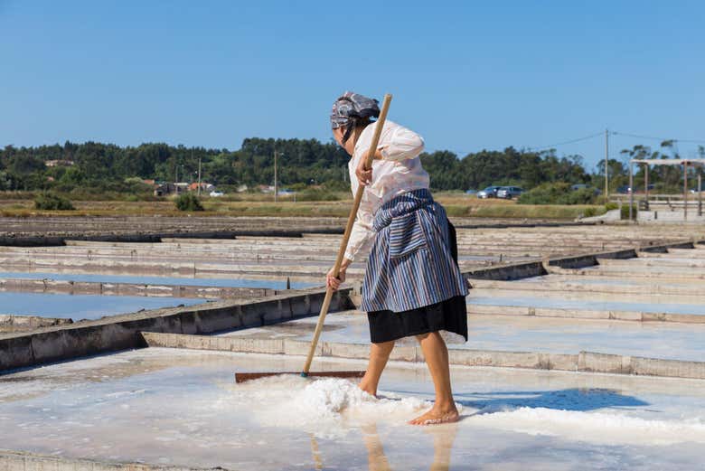 Salinas en Figueira da Foz