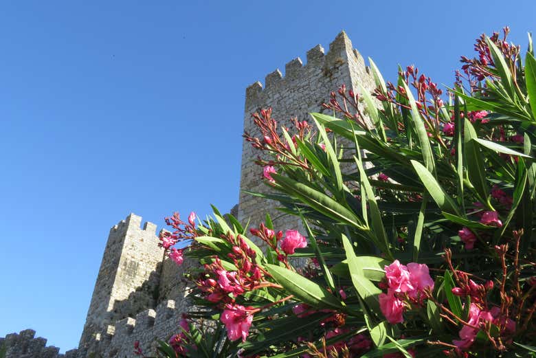 Torres del Castillo de Montemor