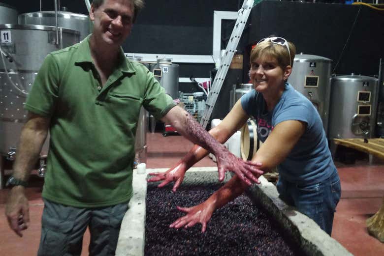 Participando en el proceso de elaboración del vino