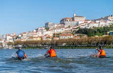 Tour de caiaque pelo rio Mondego
