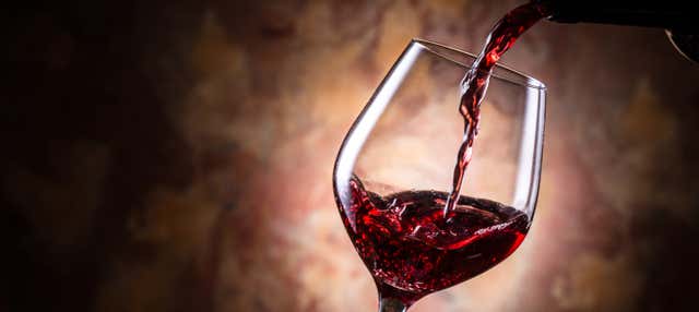 Visita a las bodegas Prior Lucas