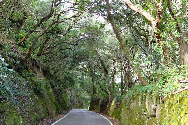 Tour di Sintra e del suo Parco Naturale in 4x4, Estoril Tour di Sintra e del suo Parco Naturale in 4x4, Estoril