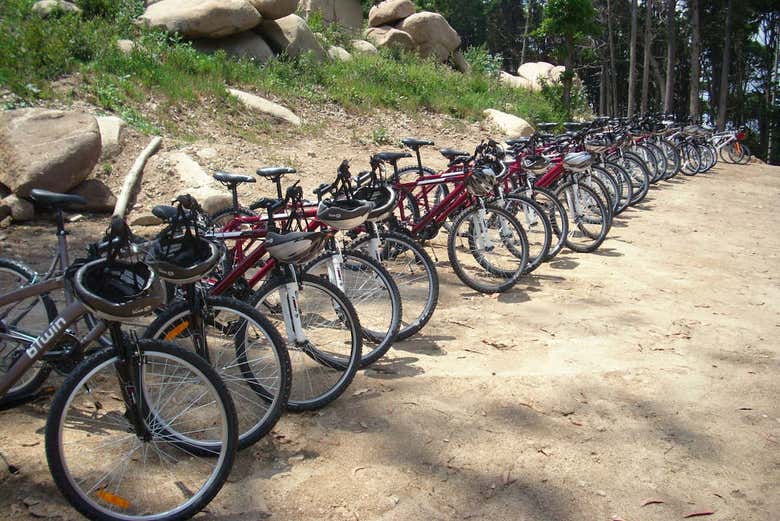 Les vélos