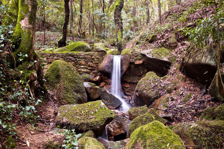 Parque Natural de Sintra-Cascais