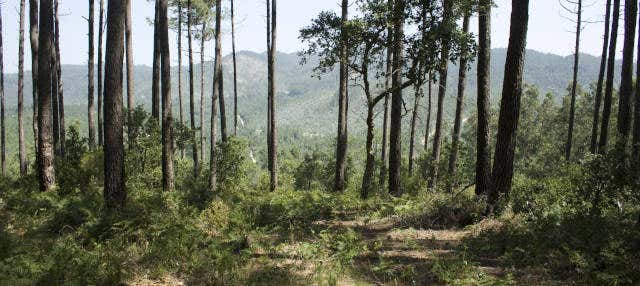 Visite du Parc Naturel Sintra-Cascais à vélo