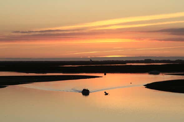 Passeio de catamarã pela Ria Formosa ao entardecer