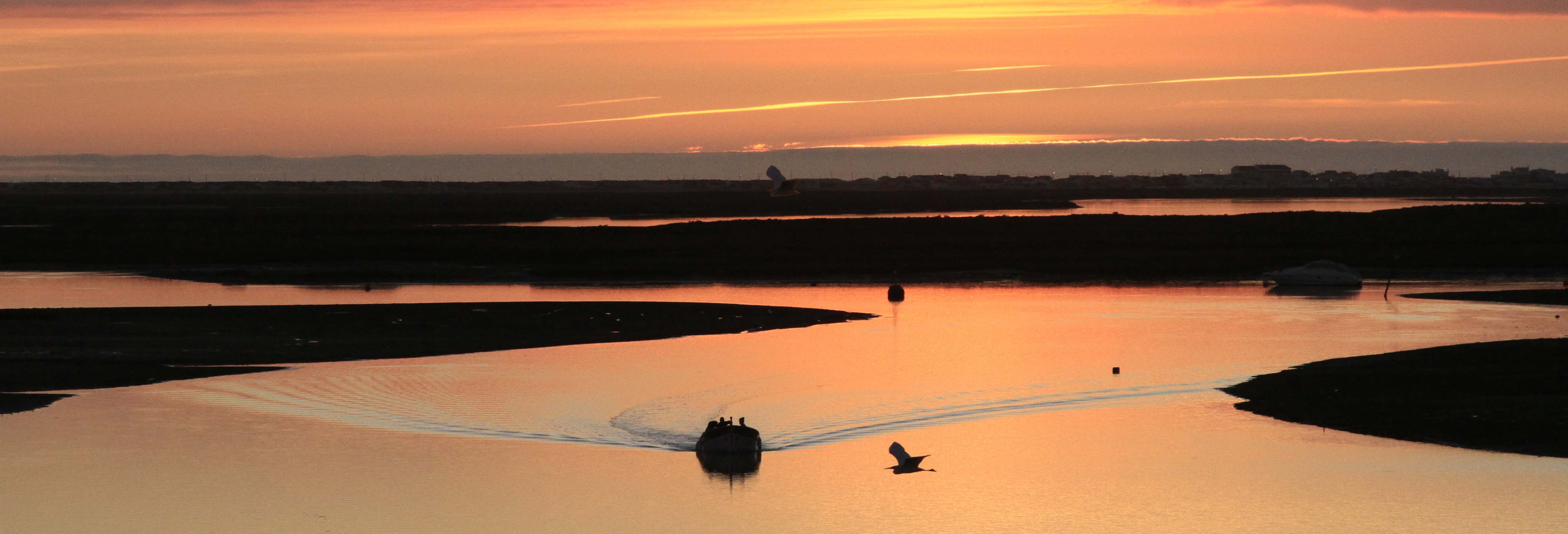 Boat tours in Faro