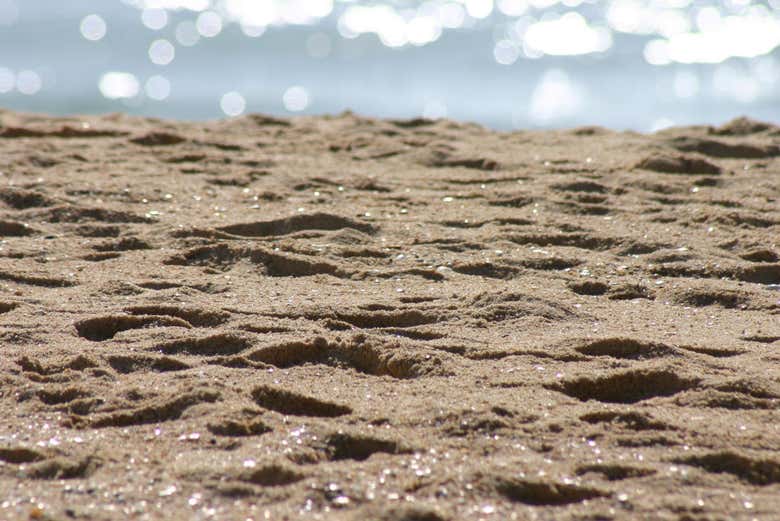 Passeando pela Ilha Deserta