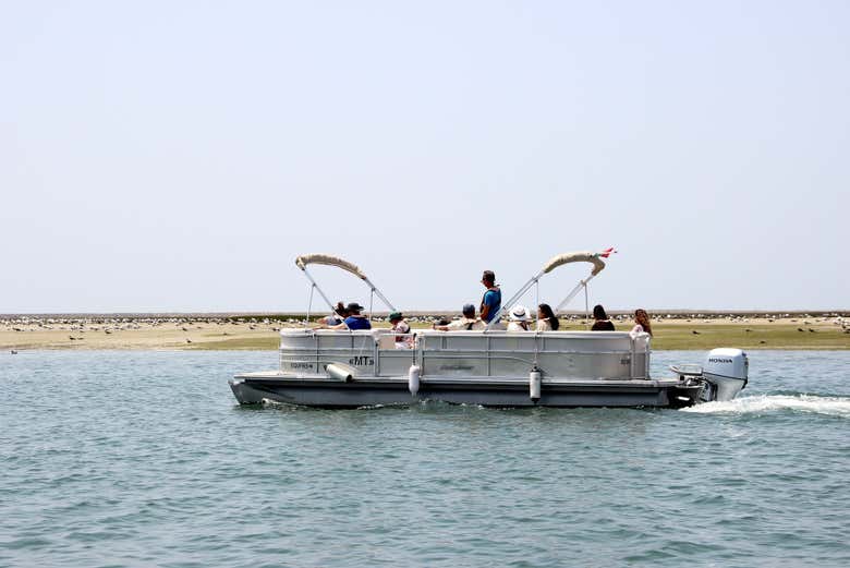 Barco pontão navegando pela ria