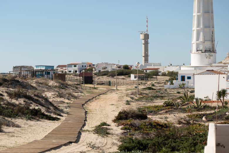Uma das trilhas na ilha de Farol