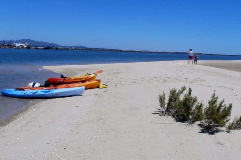 Canoas junto a la orilla