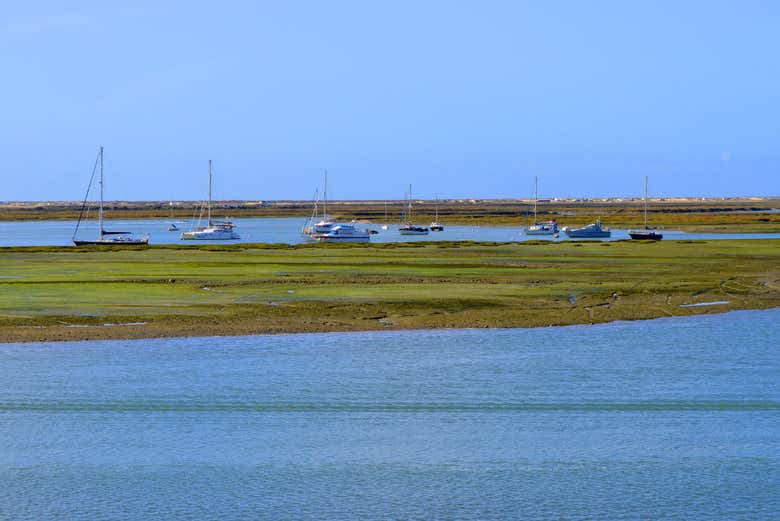 Pântanos da Ria Formosa