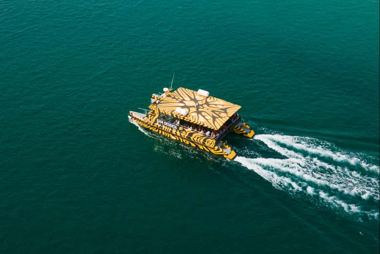 Vista aérea del ferry a Isla Deserta 
