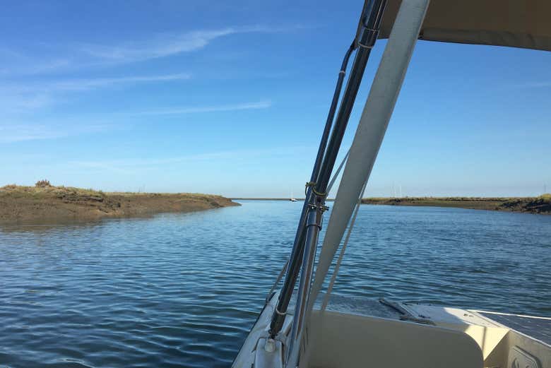 Vista da Ria Formosa da lancha