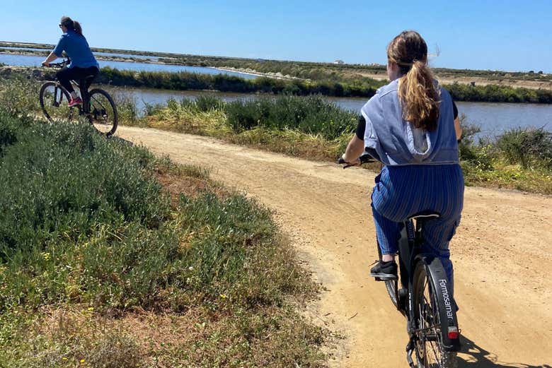 Cycling during the tour