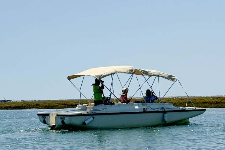 Get incredible views