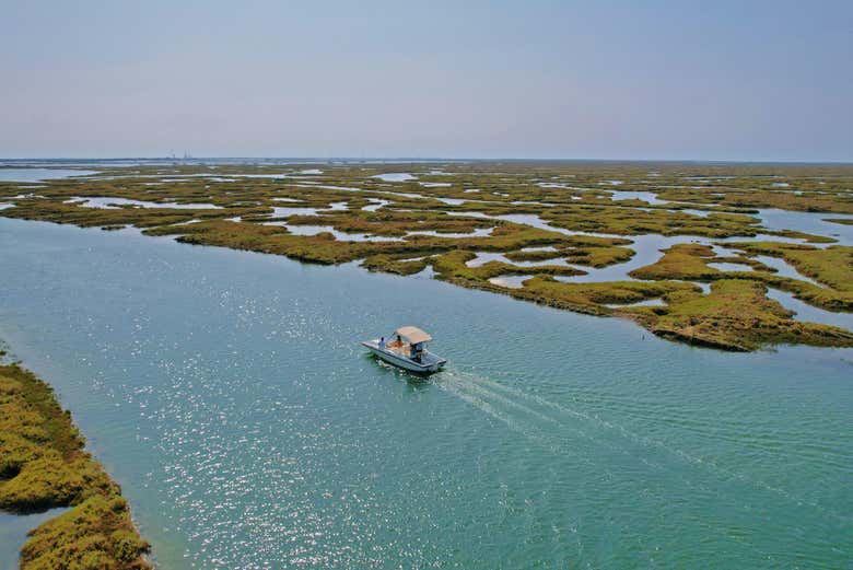 Navegando por las marismas