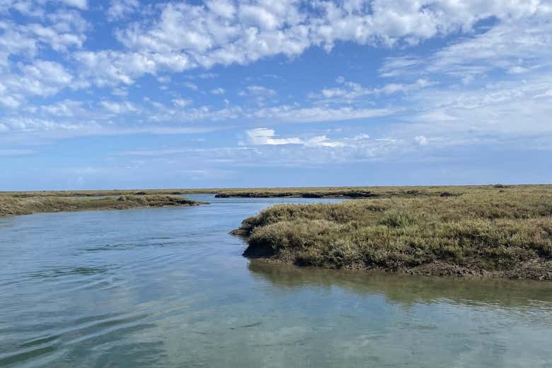 Vistas da ria Formosa a partir do barco