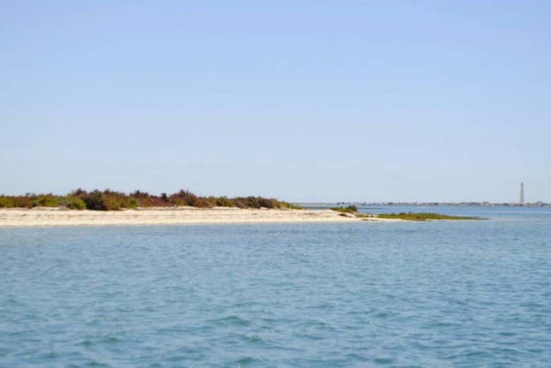 Vista panorâmica ria Formosa