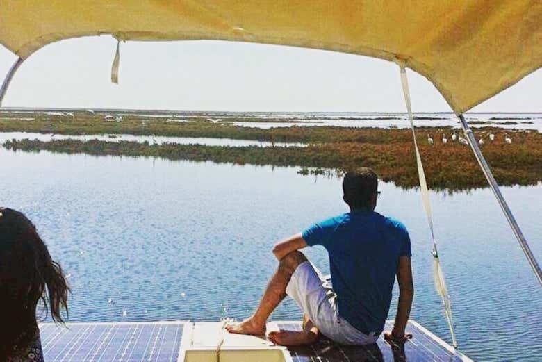 Desfrutando do passeio pela Ria Formosa