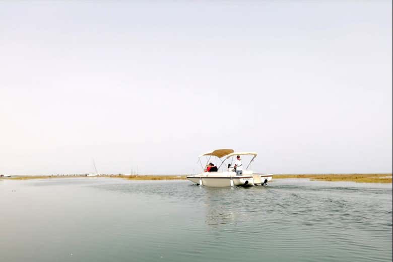 Barco ecológico navegando
