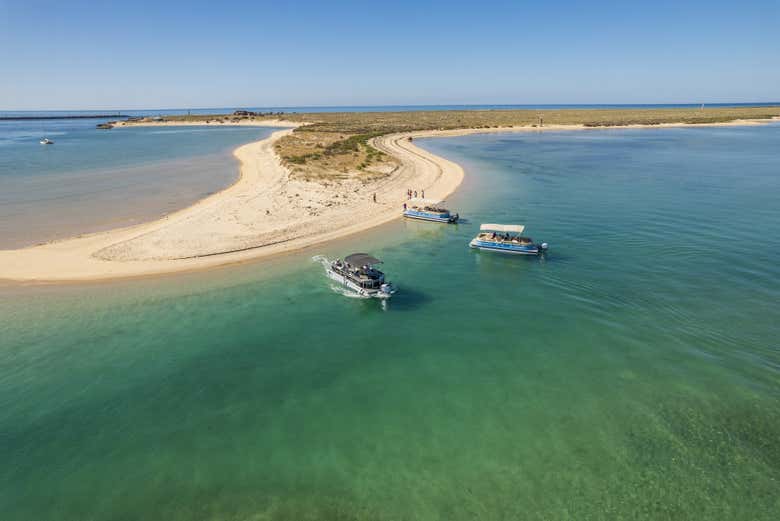 Explore Deserta Island in the in the heart of Ria Formosa