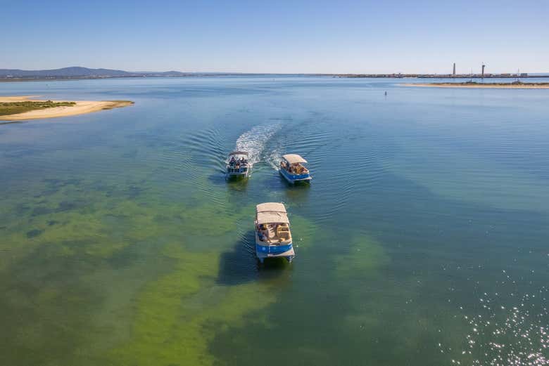Sail along tranquil waters