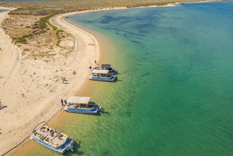 Travel to Ria Formosa