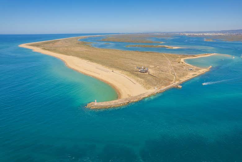 Relax on Deserta Island