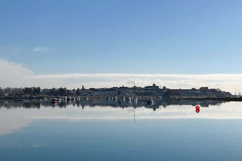 Faro