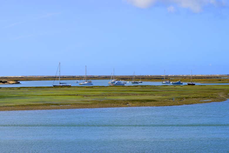 Reserva natural de la Ría Formosa
