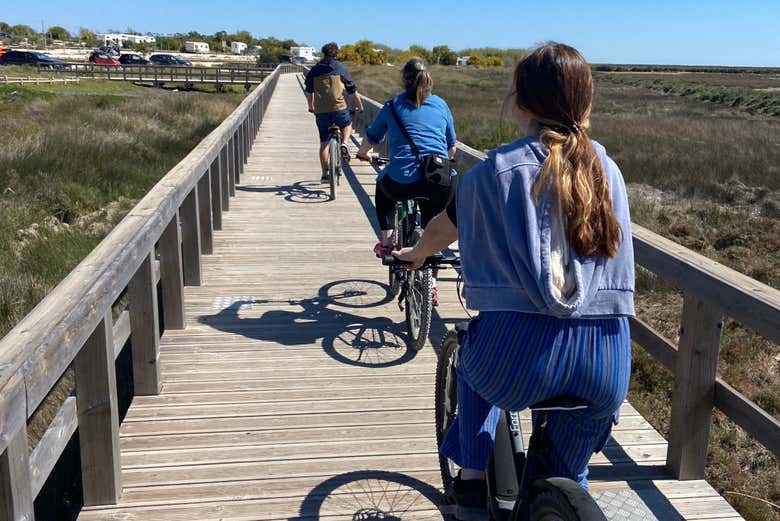 Exploring the Ria Formosa by bike