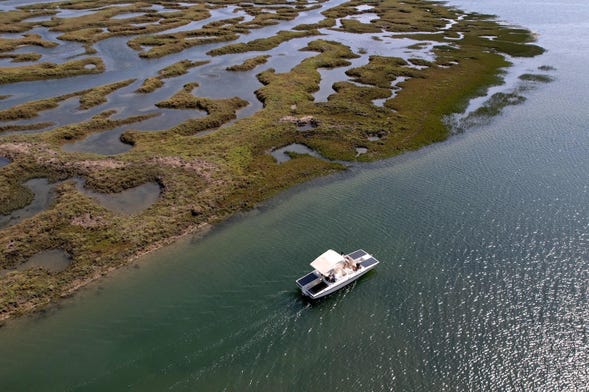 Croisière en bateau écologique à travers la Ria Formosa