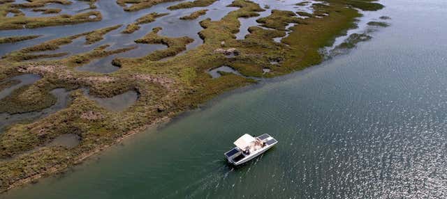 Passeio de barco ecológico pela Ria Formosa