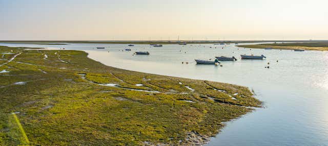 Paseo en lancha rápida por la Ría Formosa